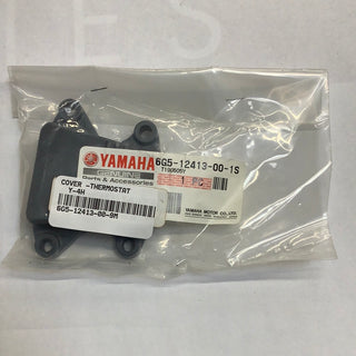 Thermostat Cover: Precision Engine Temperature Control