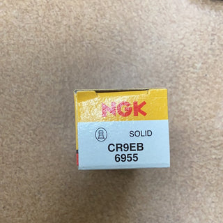 CR9EB Standard Spark Plug: Ignite Performance and Reliability