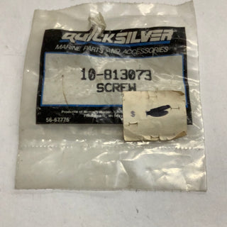 Mercury Screw: Your Trusted Fastening Companion